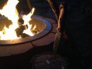 IMG_1191.jpeg