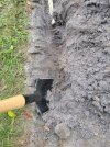 20231008_182938.jpg