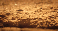 1696858924122.gif