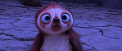 2438DDC3-E566-4551-9FBB-54C5075DB1CB.gif