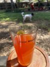 IMG_6429.jpeg