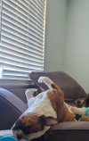 Resized_20230625_151454.jpeg