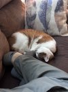 IMG_3324.jpeg