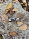 IMG_6404.jpeg