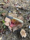 IMG_6397.jpeg