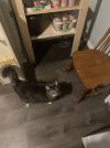 IMG_2627.jpeg