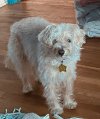 IMG_0243.jpeg