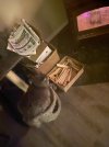 IMG_2638.jpeg