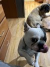 IMG_4501.jpeg