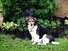 IMG_3465.jpeg