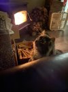 IMG_2646.jpeg