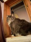 IMG_2648.jpeg