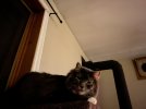 IMG_2653.jpeg