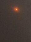 IMG_6466.jpeg