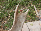 20231014_124108_resize_1697309107591_resize_1697309545039.png