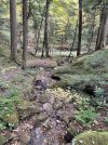 IMG_6382.jpeg