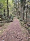 IMG_6384.jpeg
