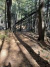 IMG_6389.jpeg