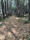 IMG_6400.jpeg