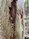 IMG_6401.jpeg