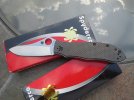 Spyderco Gayle Bradley C134CFP CPM-M4 (9).JPG