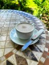IMG_1513.jpeg