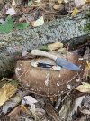 IMG_6399.jpeg