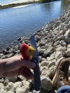 IMG_2827.jpeg