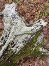 IMG_4865.jpeg