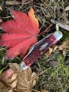 IMG_0414.jpeg