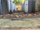 IMG_7469.jpeg