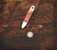 tuna-pick-applespiceburl-lo.jpg
