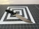 IMG_4923.jpeg