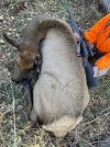 IMG_4192.jpeg