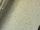 52100 after dry ice  20130928.jpg