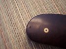 100_1667.jpg