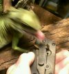 VIDEO0141_0000076721_1.jpg