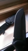 IMAG0009.jpg