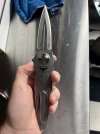 IMG_2255.jpeg