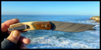 IMG_7952.jpeg
