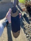 IMG_4538.jpeg