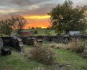 IMG_0731.jpeg