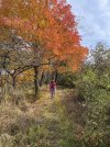 IMG_6426.jpeg