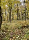 IMG_6436.jpeg