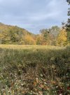 IMG_6434.jpeg