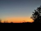 IMG_6525.jpeg