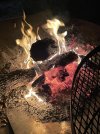 IMG_6526.jpeg