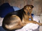 IMG_20150126_204441.jpeg