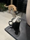 IMG_7652.jpeg