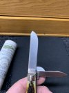 IMG_2525.jpeg
